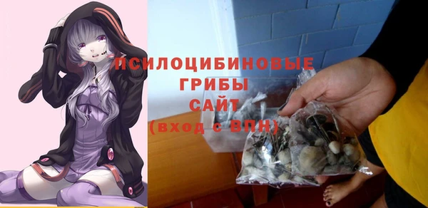 ешки Аркадак