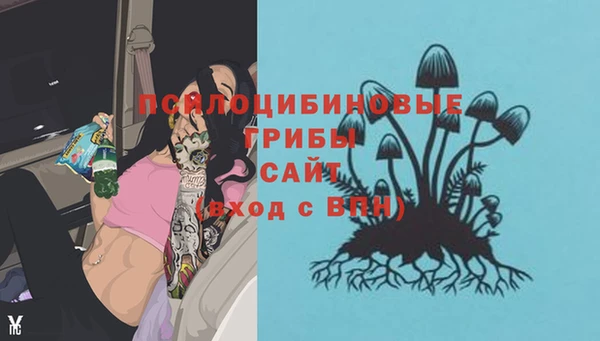 ешки Аркадак