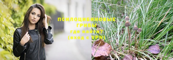ешки Аркадак