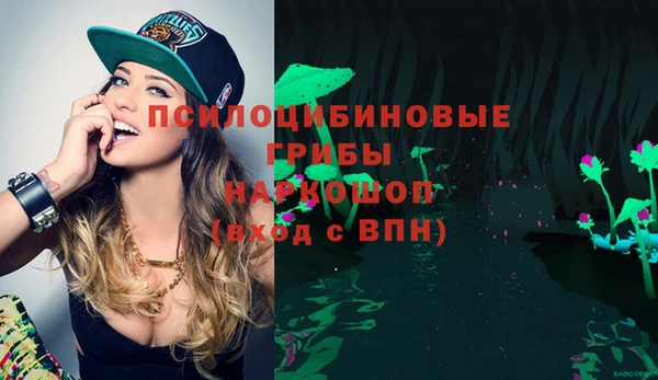 ешки Аркадак