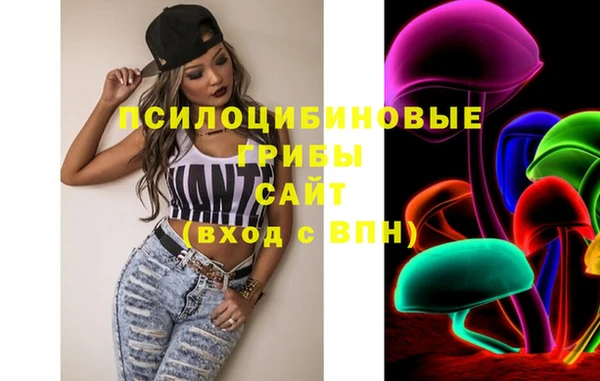ешки Аркадак