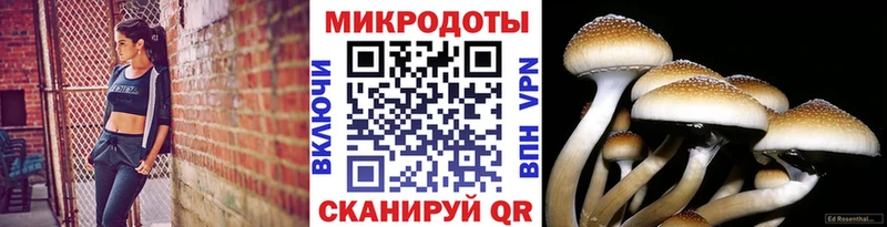 Псилоцибиновые грибы Psilocybe  Удачный 