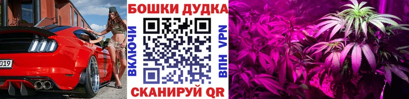 ссылка на мегу ССЫЛКА Удачный Канабис VHQ